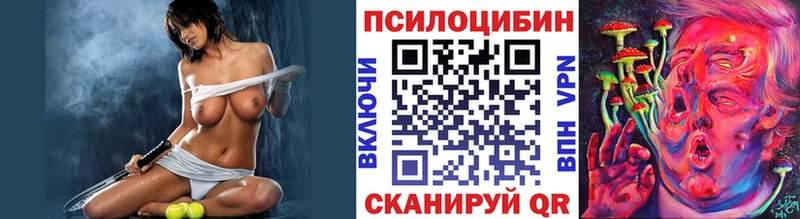 shop наркотические препараты  OMG зеркало  Мариинский Посад  Галлюциногенные грибы Psilocybine cubensis 